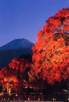 紅葉.bmp