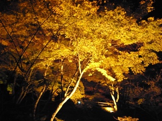 ff-R0011658.jpg
