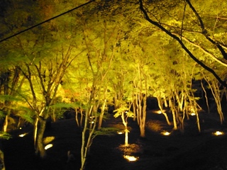 ff-R0011664.jpg
