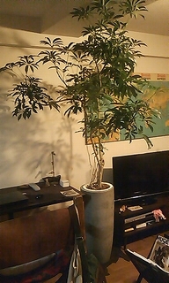 120420_1846~01.jpg