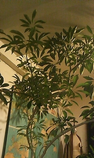 120422_0014~01.jpg