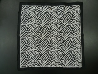2011-0523-129.jpg