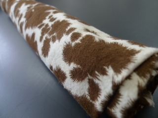 2011-0526-042.jpg