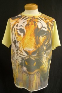2011-0717-037.jpg