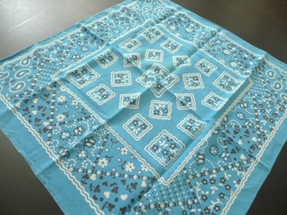 2011-0720-154.jpg