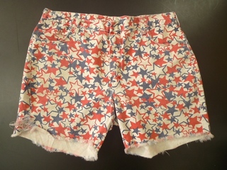 2011-0731-163.jpg