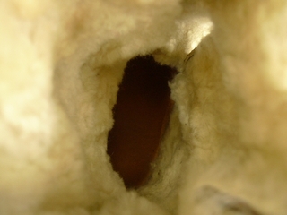 2011-1115-015.jpg