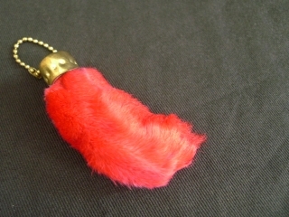 20110621-097.jpg