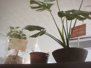 DSC00063.jpg