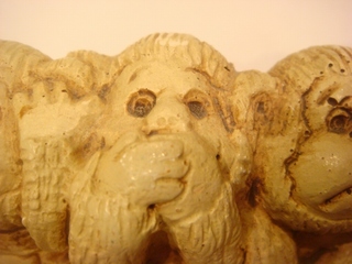 DSC00708.jpg