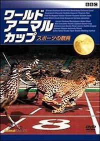 ワールドアニマルカップ.jpg