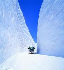 雪の大谷.jpg