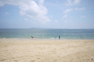 P1000467.jpg