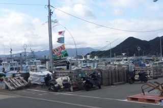 P1020017.jpg