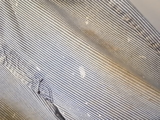 R0013911.jpg
