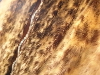 R0014138.jpg