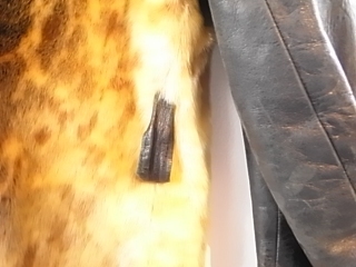 R0014141.jpg
