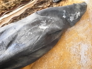 R0014148.jpg
