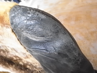 R0014149.jpg