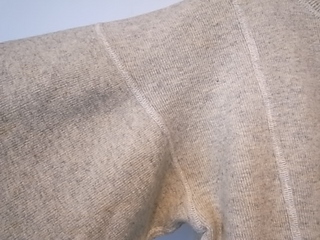R1065000.jpg