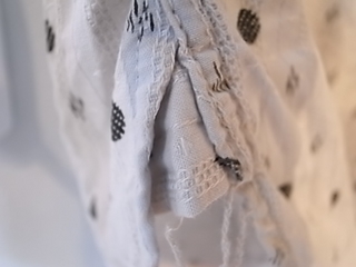 R1066387.jpg