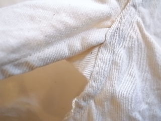 R1066388.jpg
