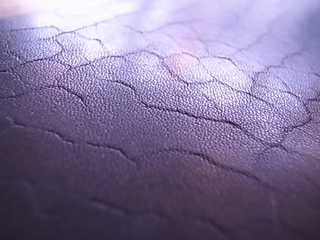 R1066495.jpg
