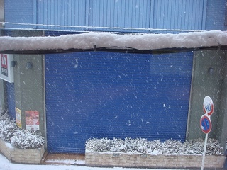 ff-DSC02986.jpg