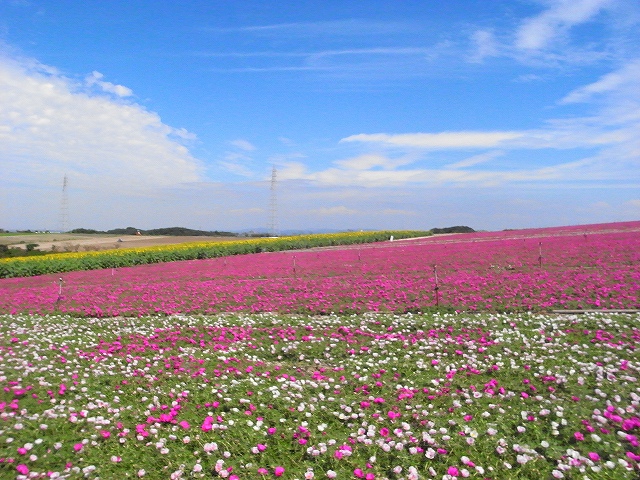 ff-R0011545.jpg