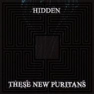 hidden.jpg